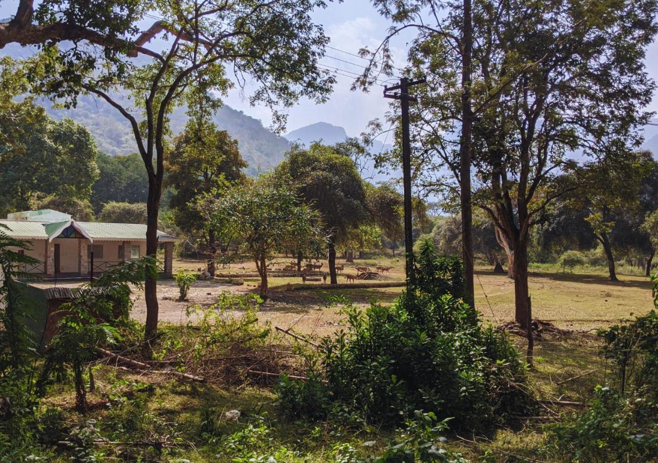 Wild Pastures By Nature Resorts And Stays 马西尼古蒂 外观 照片